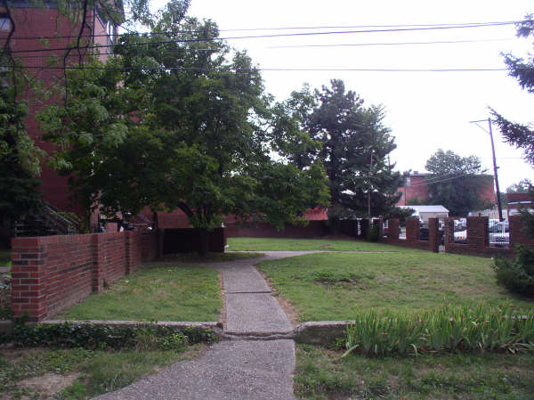 backyard.jpg
